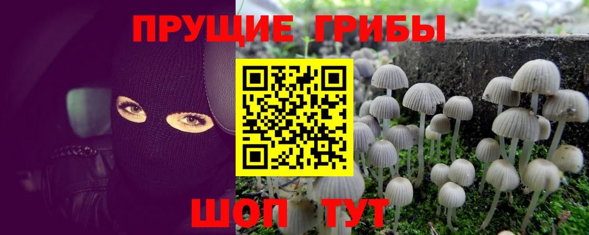Псилоцибиновые грибы MAGIC MUSHROOMS  Вход с VPN  Галлюциногенные грибы прущие грибы  Ярославль 