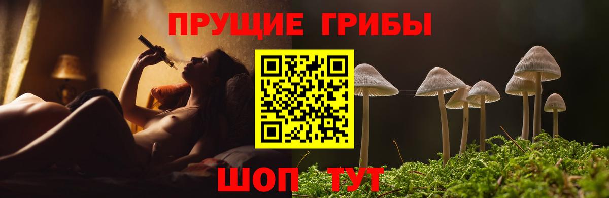 Псилоцибиновые грибы Cubensis Ярославль